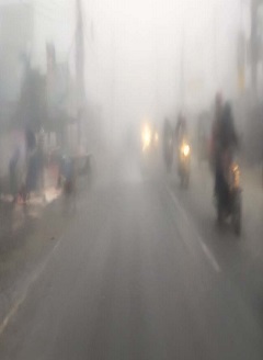image-here